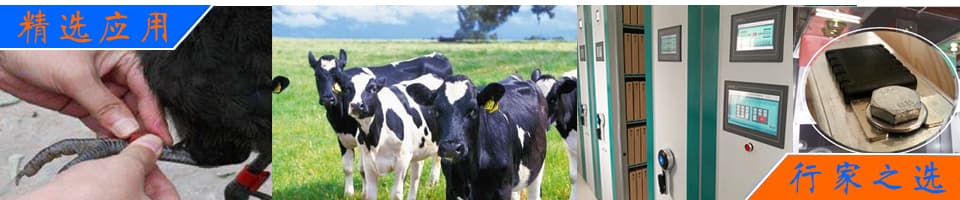 RFID解決方案|畜牧業(yè)動物管理/資產(chǎn)管理/無源測溫/寵物管理 - 上海營信-RFID技術(shù)專家